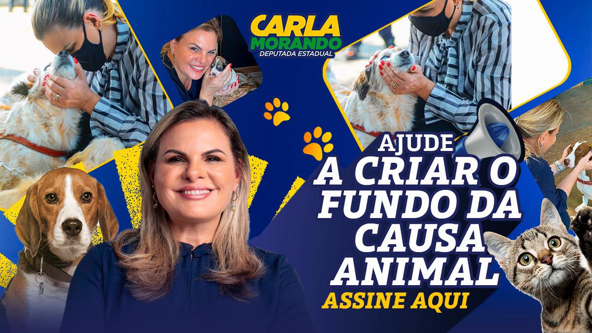 imagem do whatsapp de 2025 08 13 à(s) 14.28.14 b5f93d31